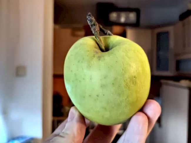 Ile kcal ma jabłko? Pełna prawda o kaloriach i odchudzaniu