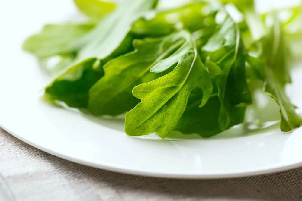 Ile kalorii ma rukola? Odkryj jej sekrety i schudnij!